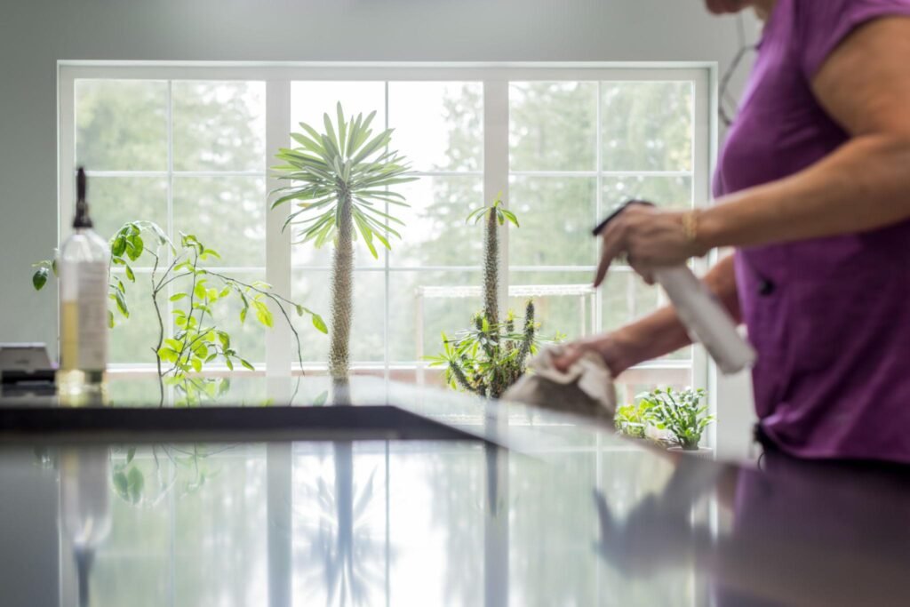 Spring Cleaning Guide 2026 USA